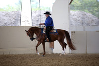 Class 348 Arabian Western Pl Jr Horse Champ