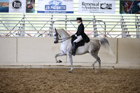 Class 349 HA/AA English Show Hack Champ Open