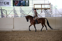 Class 350 HA/AA Hunter Pl JTR 13 & Under Champ