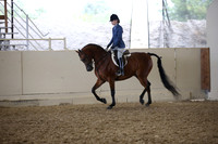 Class 350B HA/AA Hunter Pl JTR 14 -18 Champ