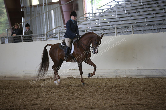 PacSlopes18_SunPM_2004