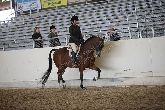 PacSlopes18_SunPM_2013
