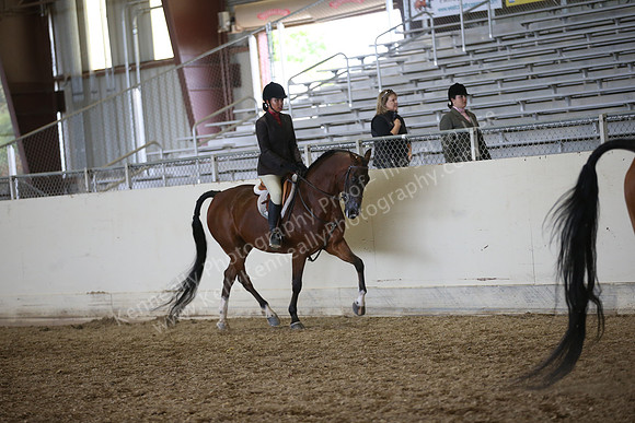 PacSlopes18_SunPM_2011