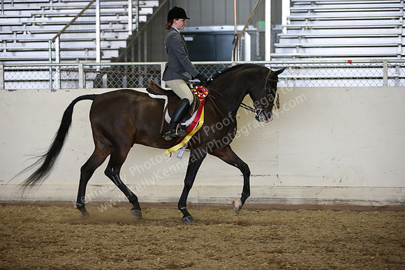 PacSlopes18_SunPM_2096