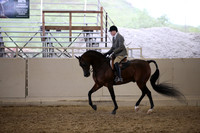 Class 354  Arabian Hunter Pl Champ Open