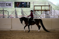 Class 356 HA/AA Western Pl ATR Select  Champ