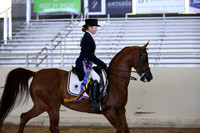 PacSlopes18_SunPM_2234