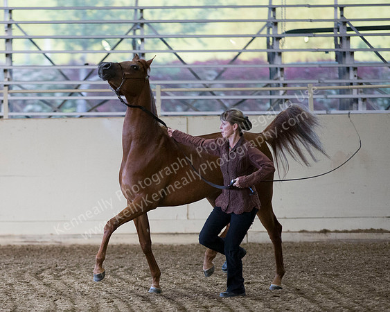 PacificSlopes18_SatEve_8585 copy