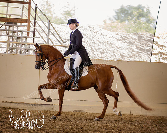 PacSlopes18_SunAM3_0473