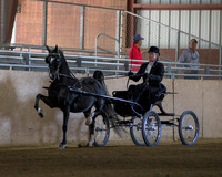 Class 1 Hackney Harness Pony Open