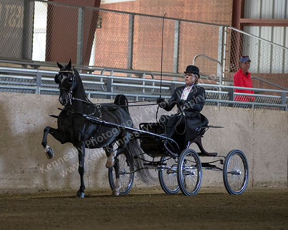 CalSpring18_Thurs_6821