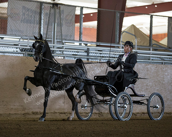 CalSpring18_Thurs_6823