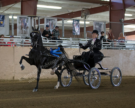 CalSpring18_Thurs_6852