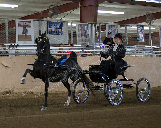 CalSpring18_Thurs_6853