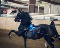 CalSpring18_Thurs_6859