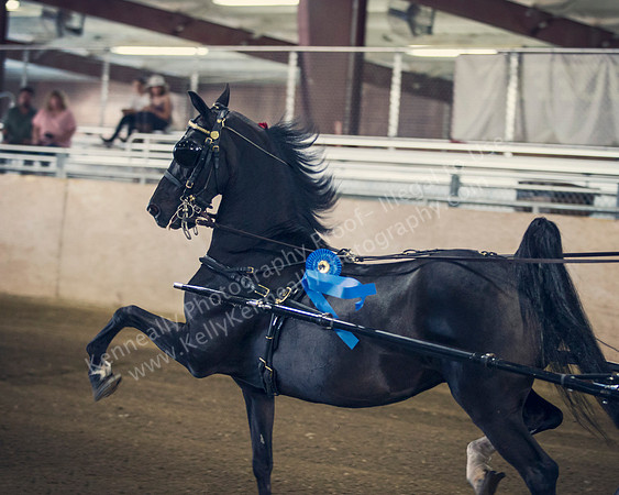 CalSpring18_Thurs_6859