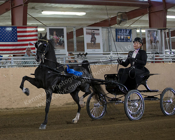 CalSpring18_Thurs_6854