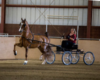 Class 14 ASB Fine Harness Open