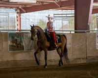 Class 3 Morgan Western Pleasure Open