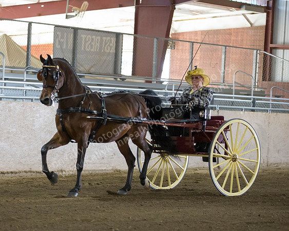 CalSpring18_Thurs_7000