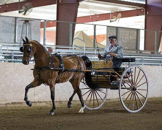 CalSpring18_Thurs_7005