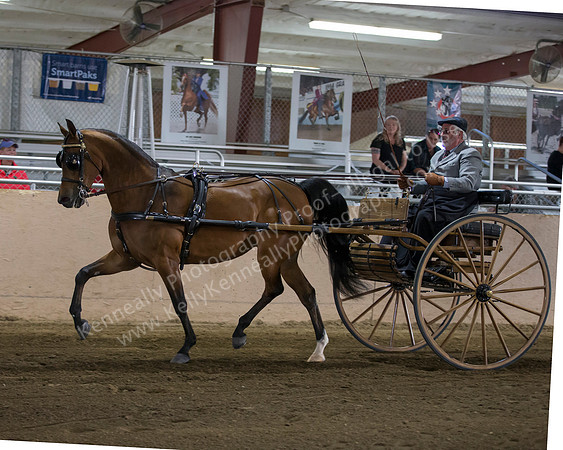 CalSpring18_Thurs_7006