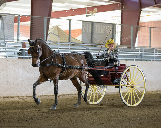 CalSpring18_Thurs_7010