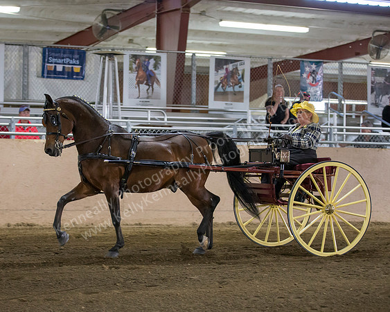 CalSpring18_Thurs_7011