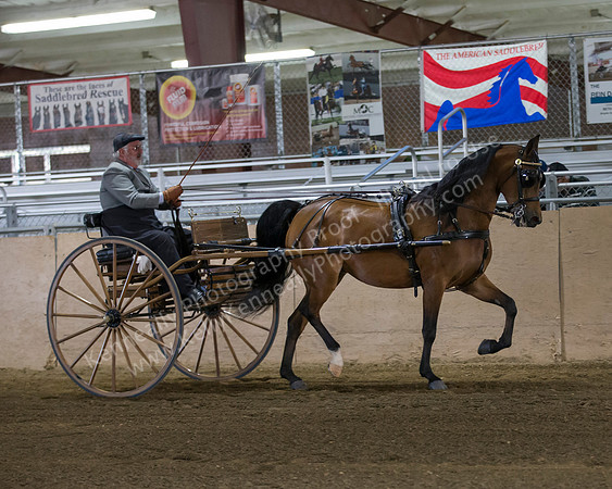 CalSpring18_Thurs_7017