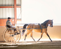 CalSpring18_Thurs_7019