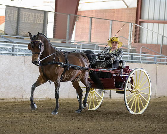 CalSpring18_Thurs_7009