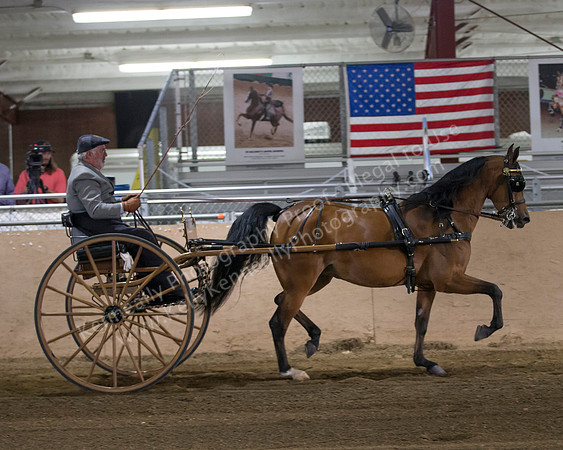 CalSpring18_Thurs_7032
