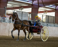 CalSpring18_Thurs_7043