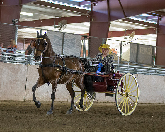 CalSpring18_Thurs_7043
