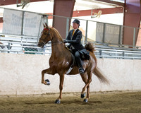 CalSpring18_Thurs_7072