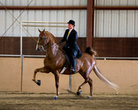 Class 6 ASB Three Gaited Park Open