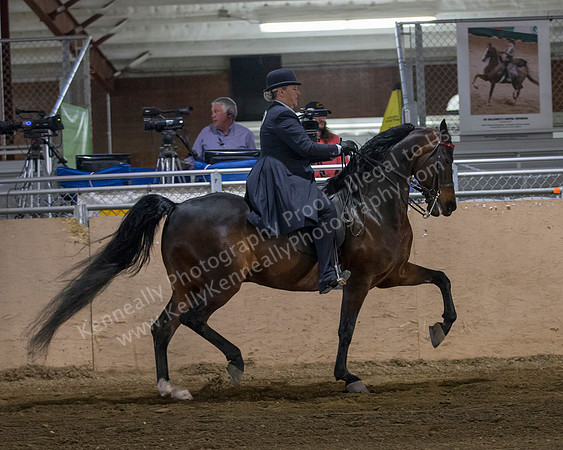 CalSpring18_Thurs_7094