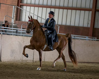Class 8 ASB three Gited Park Pleasure Denver Junior