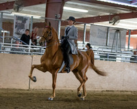 CalSpring18_Thurs_7113