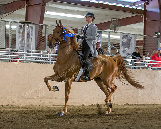 CalSpring18_Thurs_7148