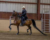 Class 9 Morgan Park Saddle Open