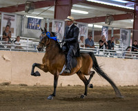 CalSpring18_Thurs_7205