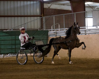 Class 10 Roadster Pony Open