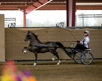 CalSpring18_Thurs_7246