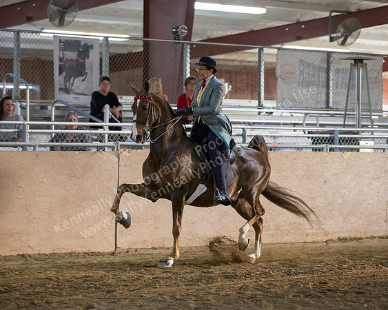 CalSpring18_Thurs_7273