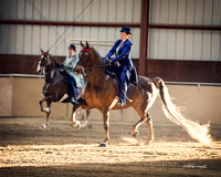 Class 13 ASB Five Gaited Show Pleasure Amateur or Junior Exhibitor
