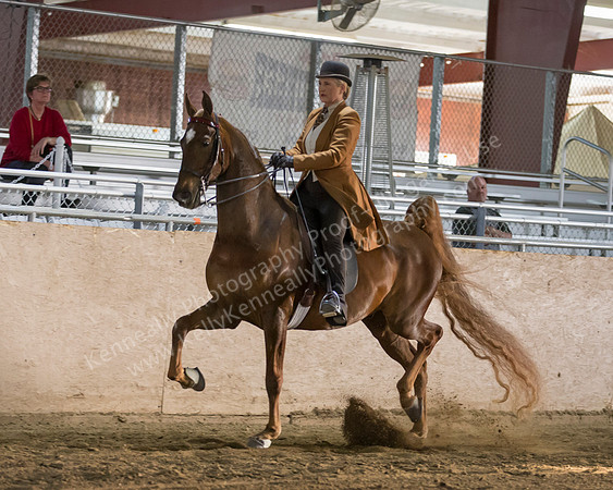 CalSpring18_Thurs_7280