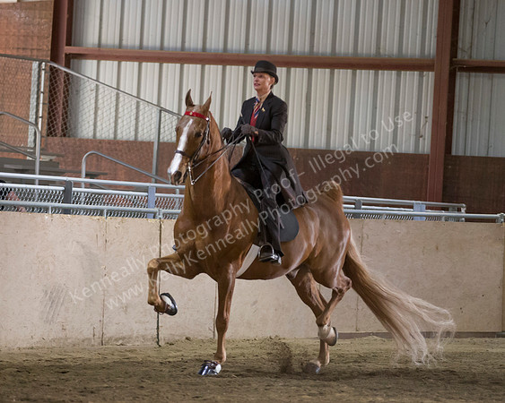 CalSpring18_Thurs_7285