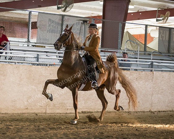CalSpring18_Thurs_7314