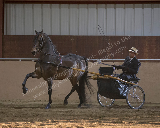 CalSpring18_Thurs_7418